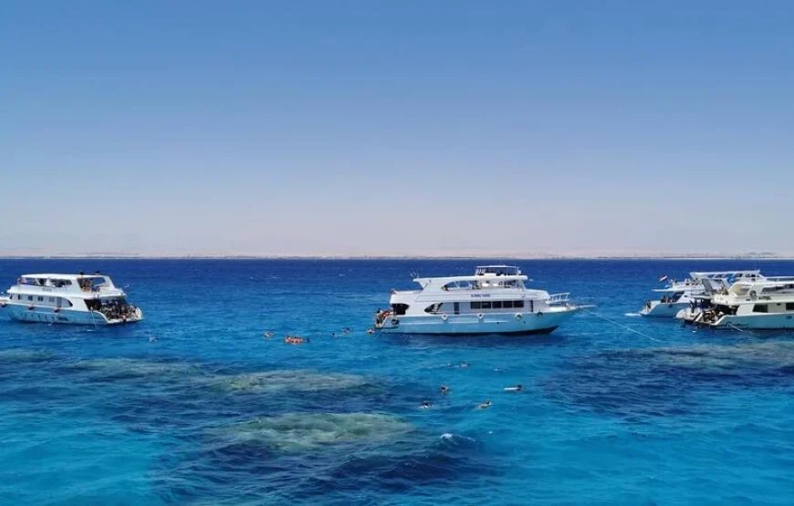 Excursion aventure et snorkeling à Ras Mohammed en bus