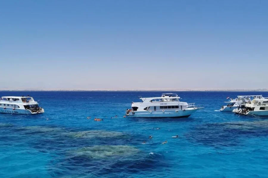 Adventure Snorkeling Tour To Ras Mohamed By Bus