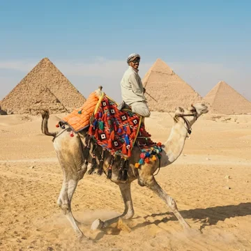 Giza Pyramids Camel Ride Egyptian Museum Tour tour in Egypt