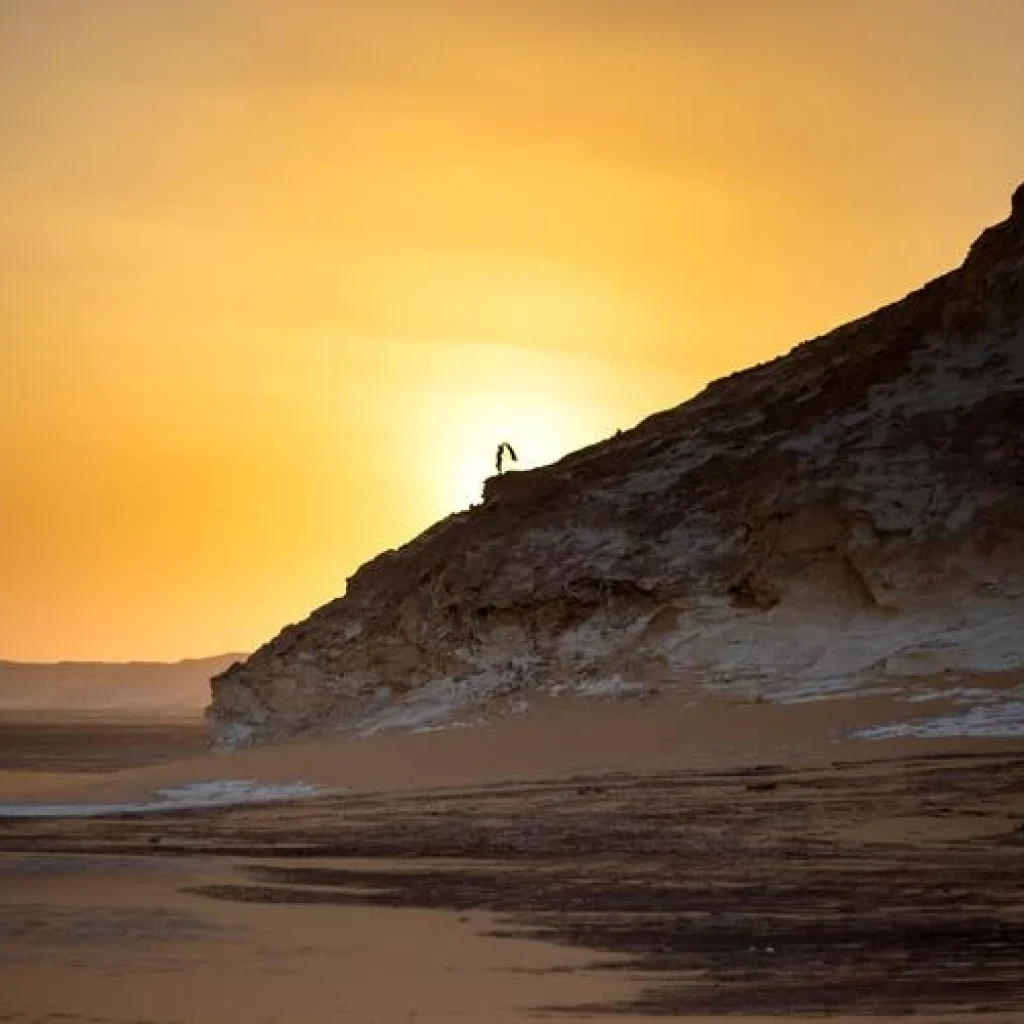 Best Things to Do in Fayoum: 12 Expert Picks and Planning Tips