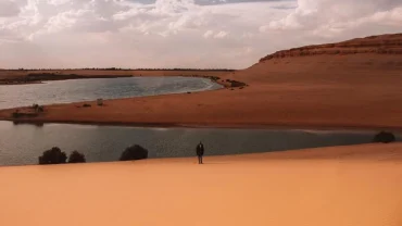 White Desert Camping Guide: 11 Essential Tips for a Better Visit