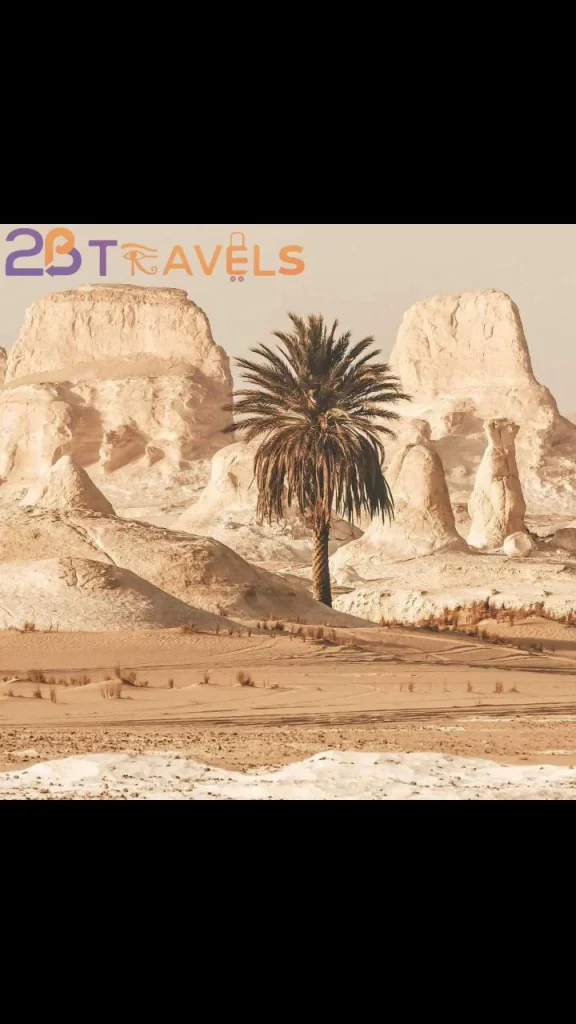 Siwa Oasis Western Desert Tour From Cairo travel photo 2