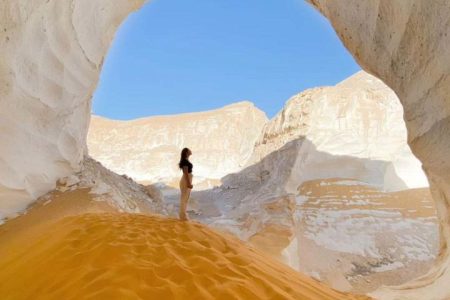Excursion d’une journée d’observation des oiseaux dans le Fayoum