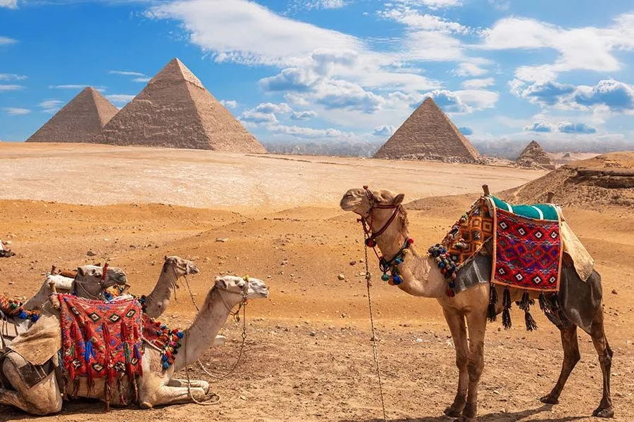 Giza Pyramids – Half Day