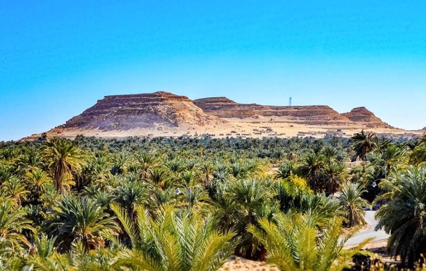 Siwa