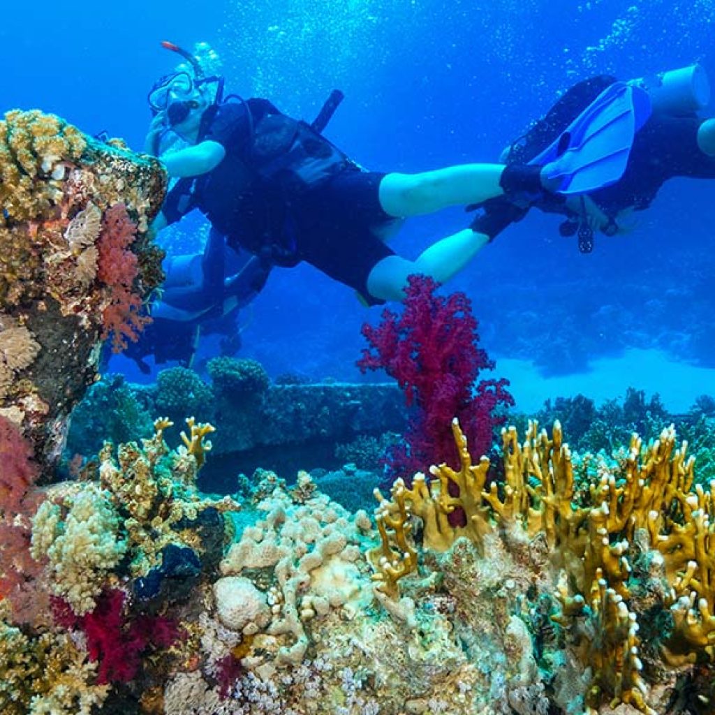 Dahab vs Sharm El Sheikh: Which Option Fits Your Trip?