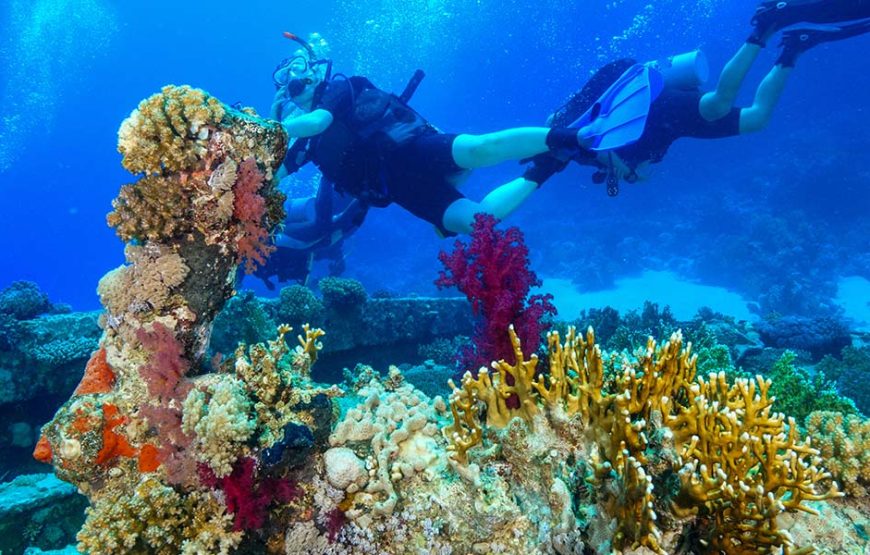 Sharm El Sheikh