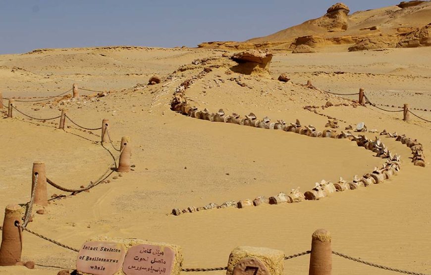 Fayoum