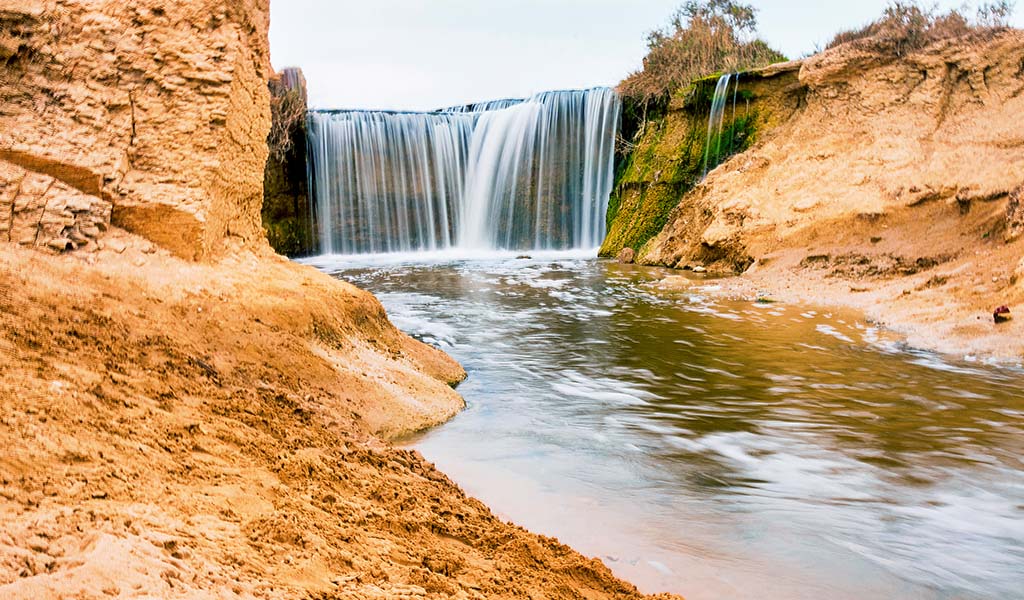 Fayoum birdwatching guide in Fayoum