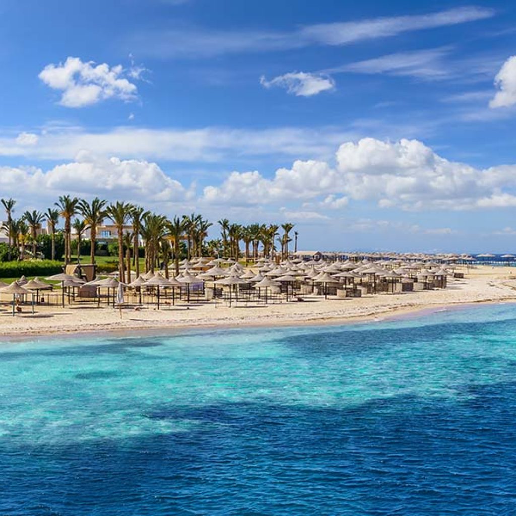 Snorkeling in Marsa Alam for Beginners: 11 Essential Tips for a Better Trip