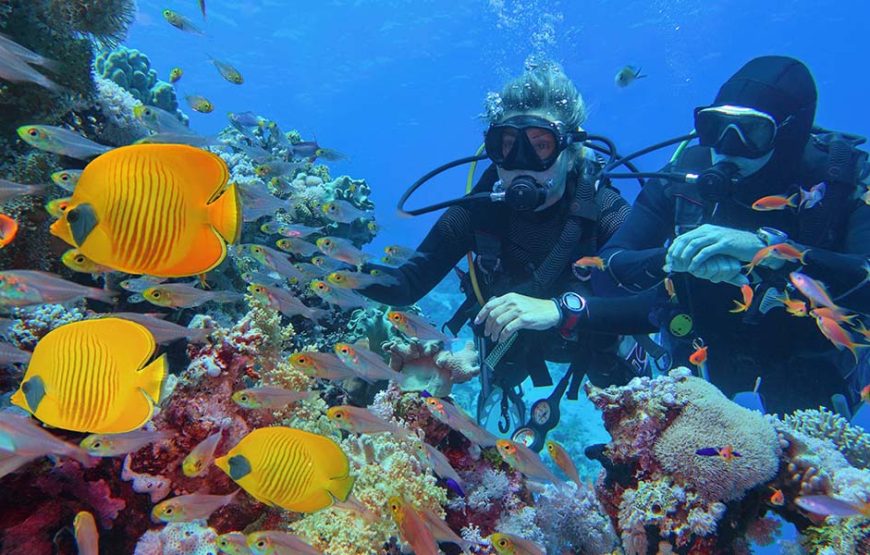 Sharm El Sheikh