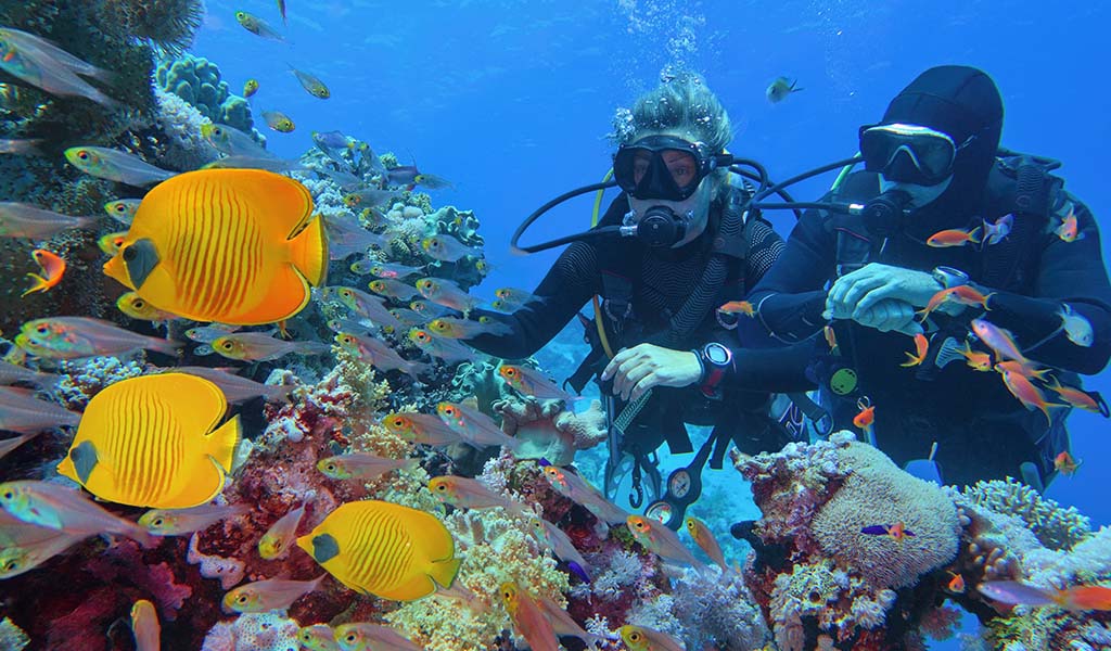 Blue Hole day trip from Sharm El Sheikh in Sharm El Sheikh and Ras Mohammed
