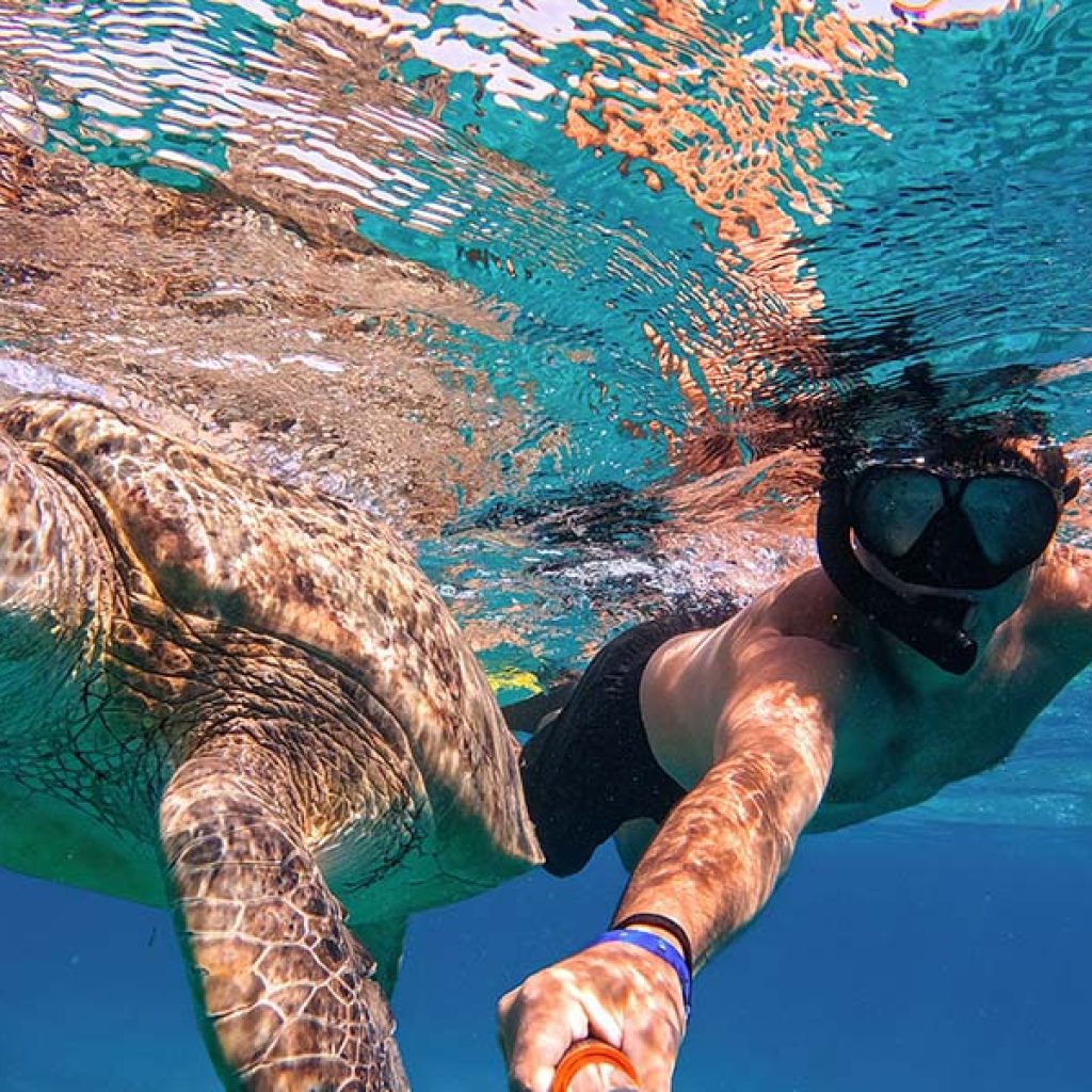 Giftun Island Snorkeling Guide: What to Know Before You Book