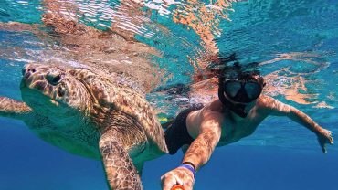 Giftun Island Snorkeling Guide: What to Know Before You Book