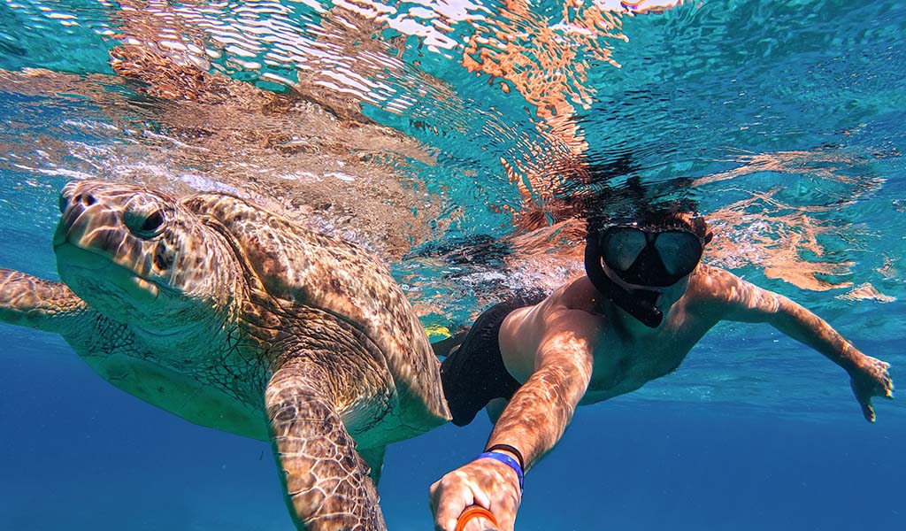 Travel planning for Egypt’s Red Sea coast