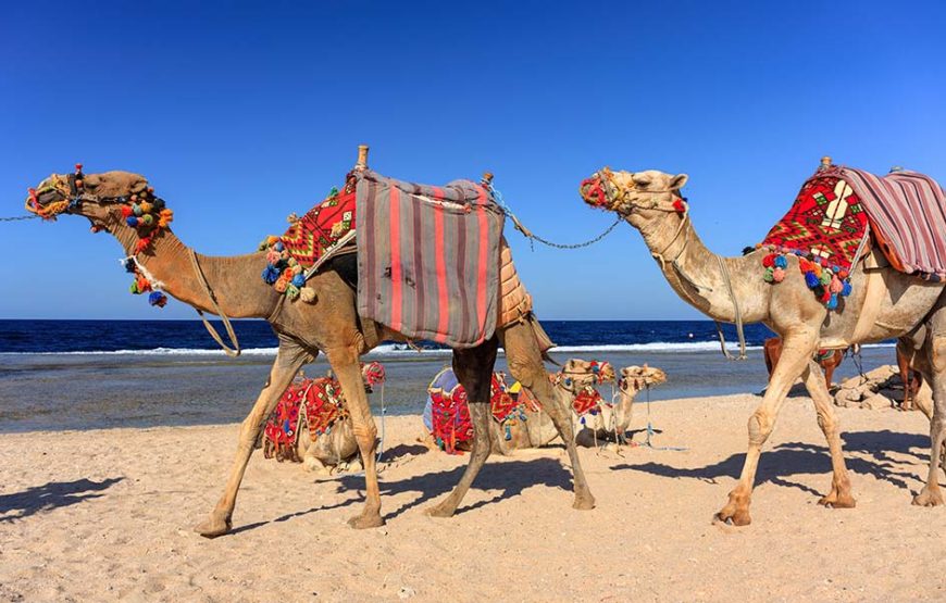 Marsa Alam