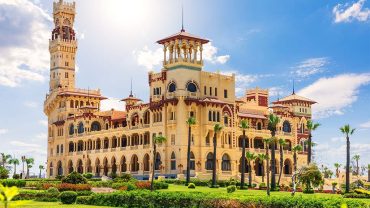 Alexandria Food Tour Guide: What to Know Before You Book