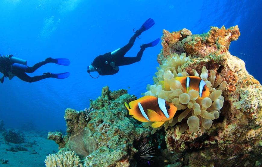 Sharm El Sheikh
