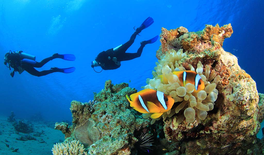 Travel planning for Dahab and South Sinai
